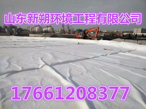 鱼塘防渗首选HDPE土工膜 山东新朔的专业之选
